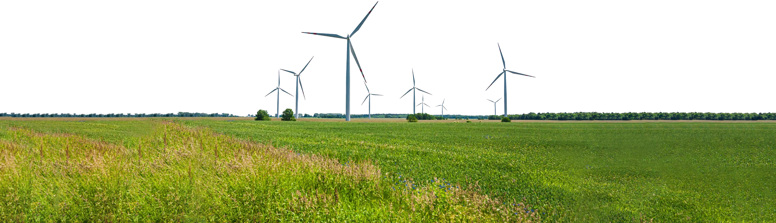 windmuelen_breit